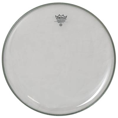 Ambassador 16