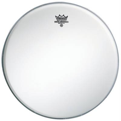 Ambassador 16
