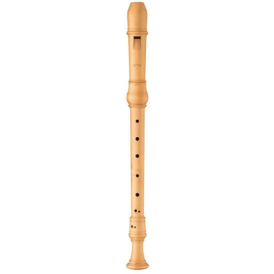 4304 Alt Rottenburgh Castello-Buchs