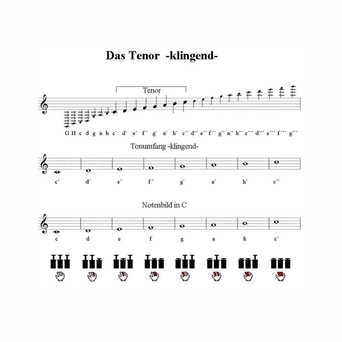 Voigt 1394a Tenor aufrecht 8-tönig