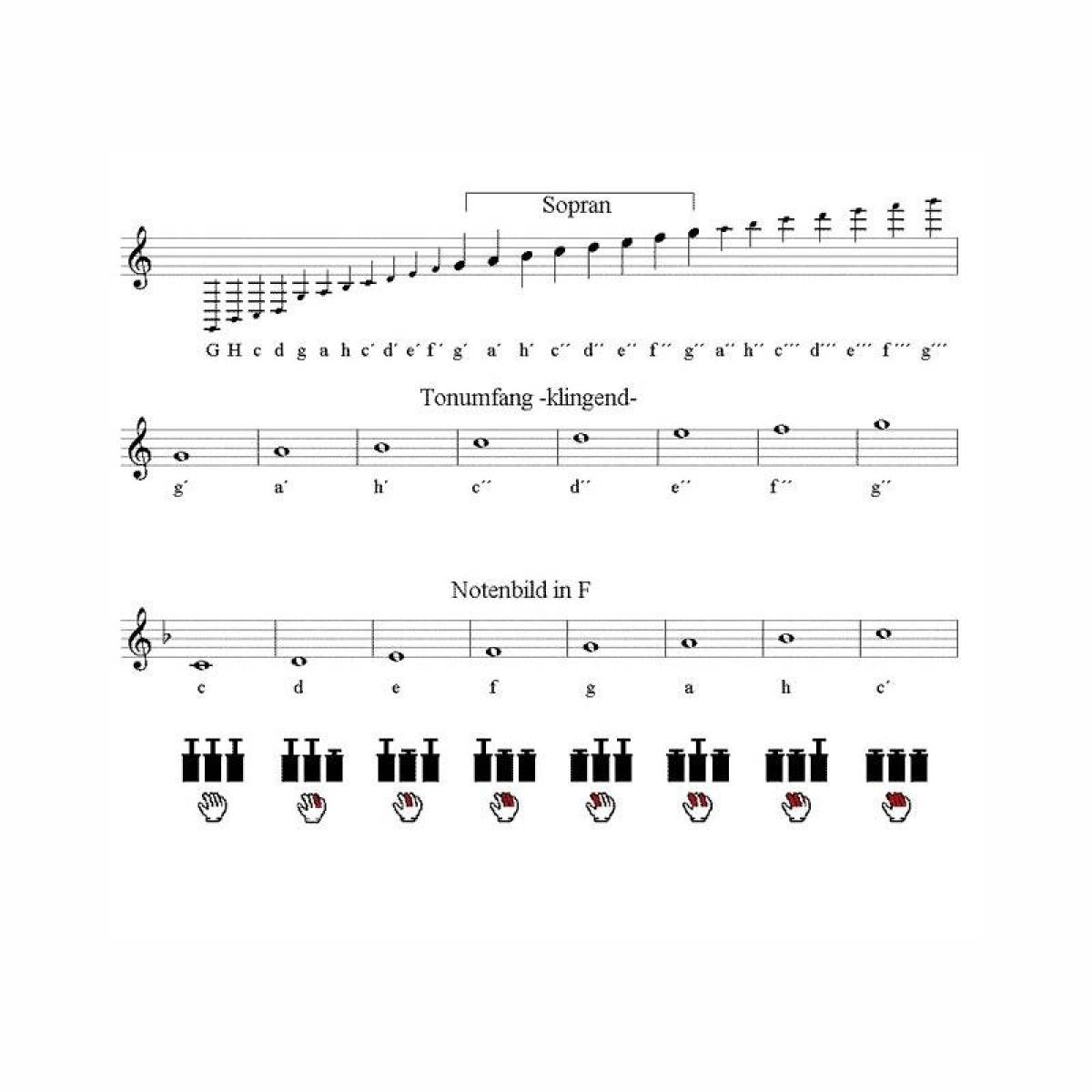 Voigt 1070g Sopran gerade 8-tönig