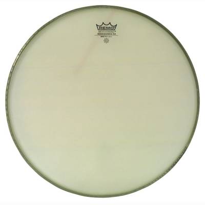 Ambassador 16