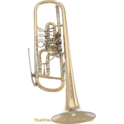 Heckel Trompete/Bb Studio roh