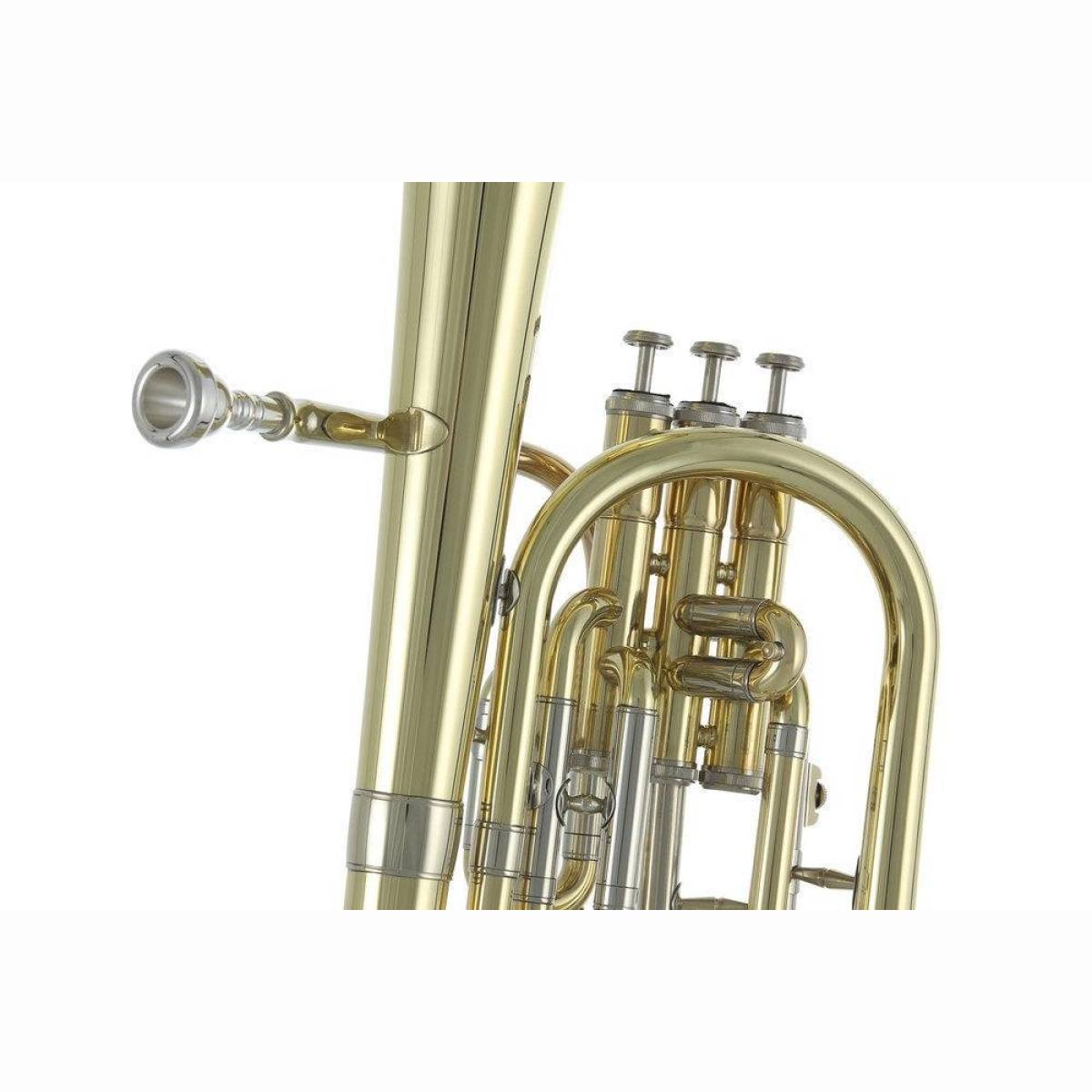 Althorn/Es AH-301 MS Lack mit Etui