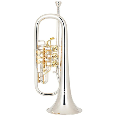 24R001102AP12 Flügelhorn Edition