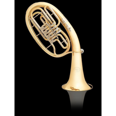 3033/2G-L Tenorhorn 4-Ventile Lack + Etui