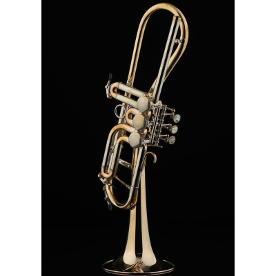 Ganschhorn Heavy roh