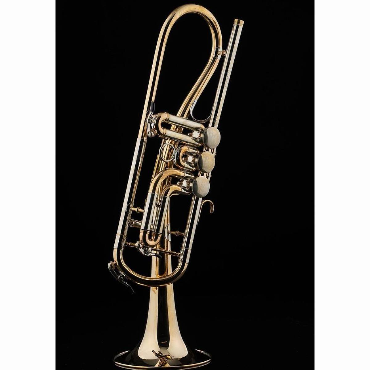 Ganschhorn Heavy roh Ganschhorn Heavy roh