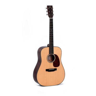 DM-18 Westerngitarre mit SSC (Case)