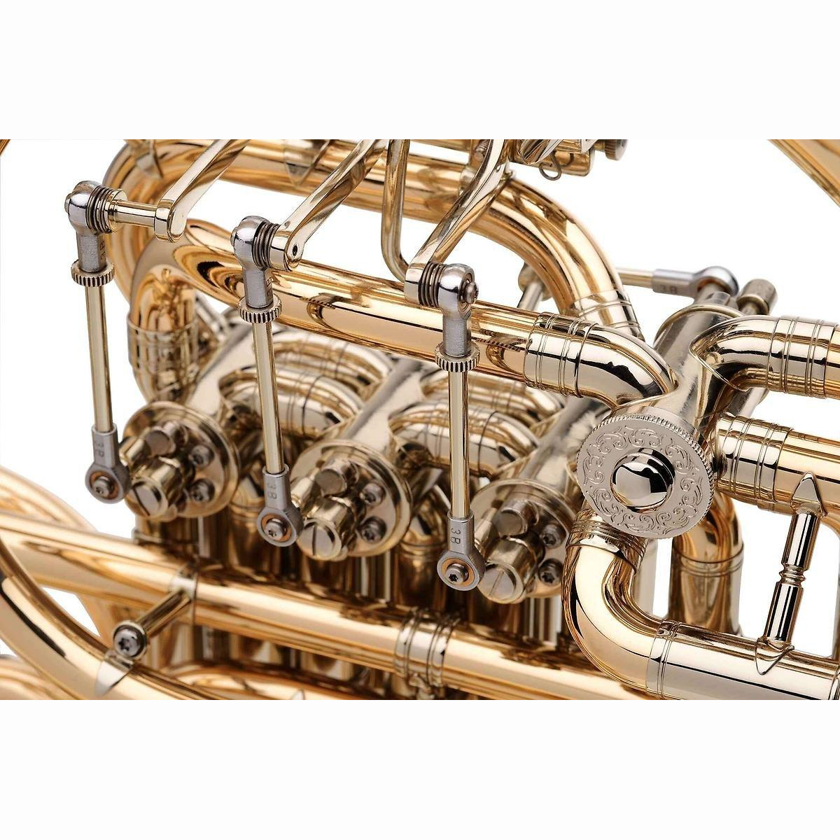 K10L1A-L F/B-Waldhorn abschraubbar +Cas