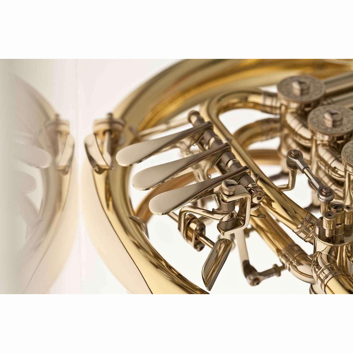 K10L1A-L F/B-Waldhorn abschraubbar +Cas