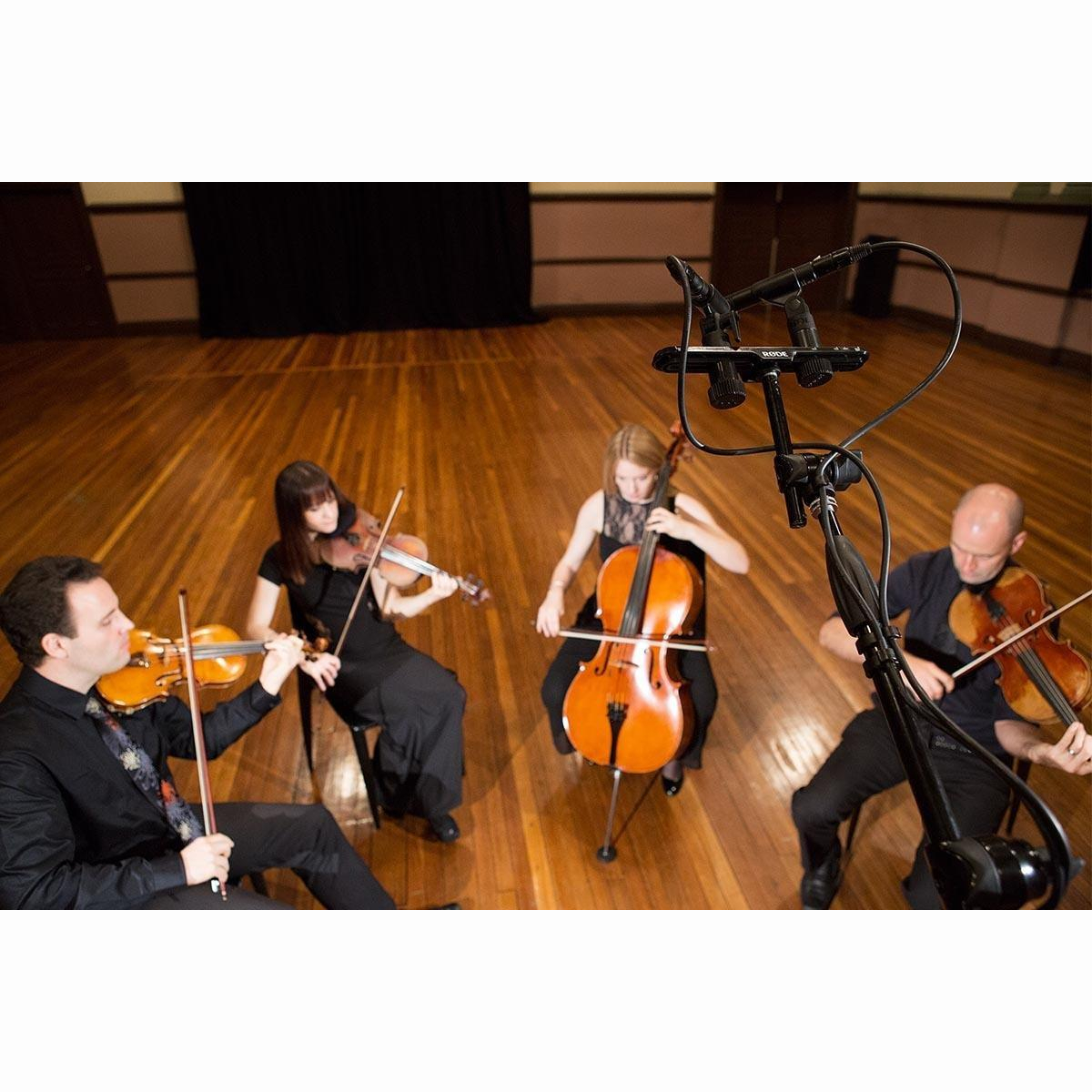 M5 MP Kleinmembran Kondensatormik-Paar