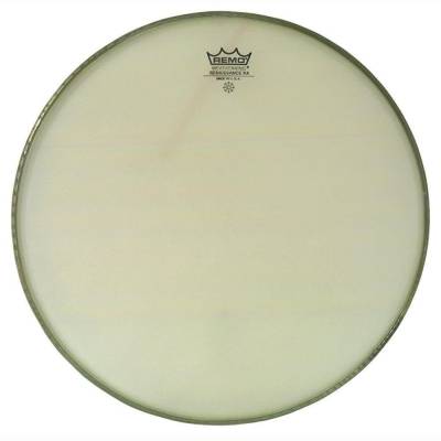 Ambassador 15