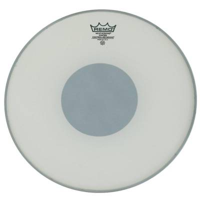 CS Ambassador 13