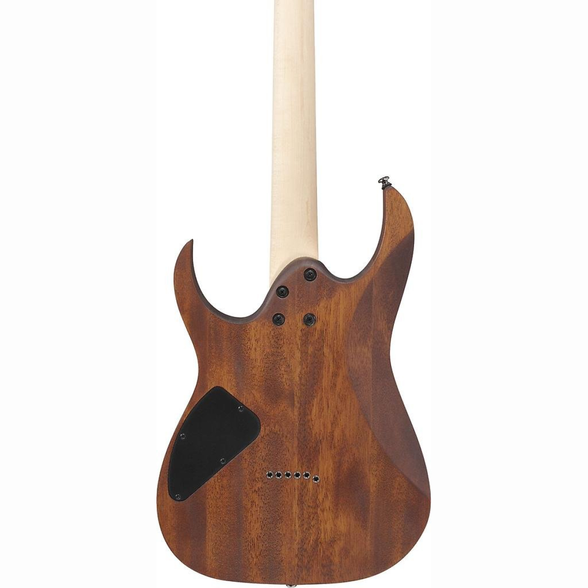 RG421-MOL E-Gitarre Mahogany Oil