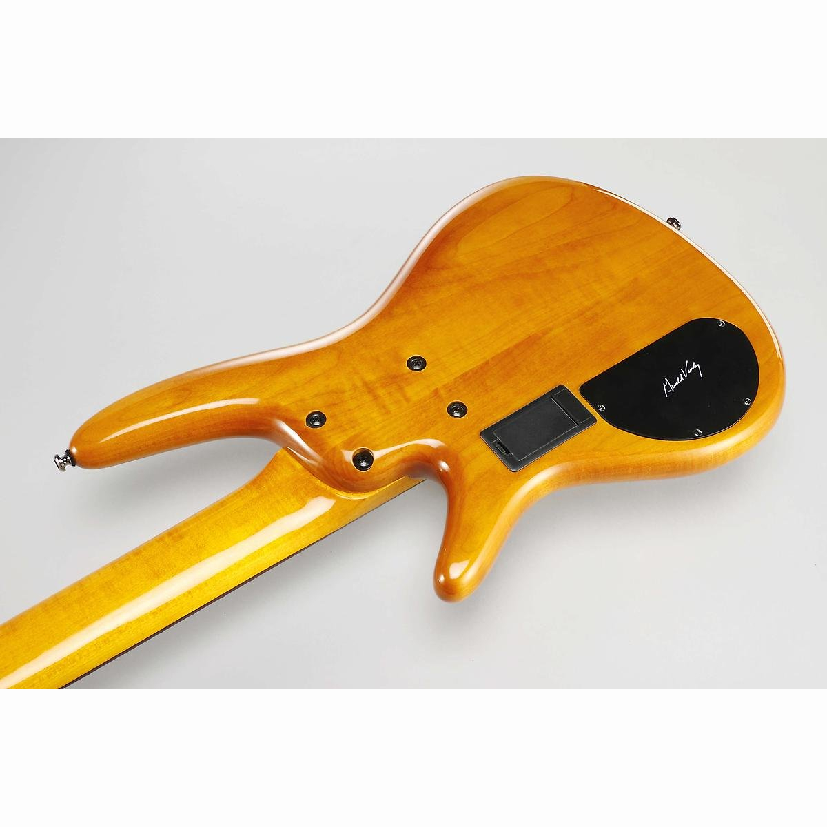 GVB36-AM Gerald Veasley Signature