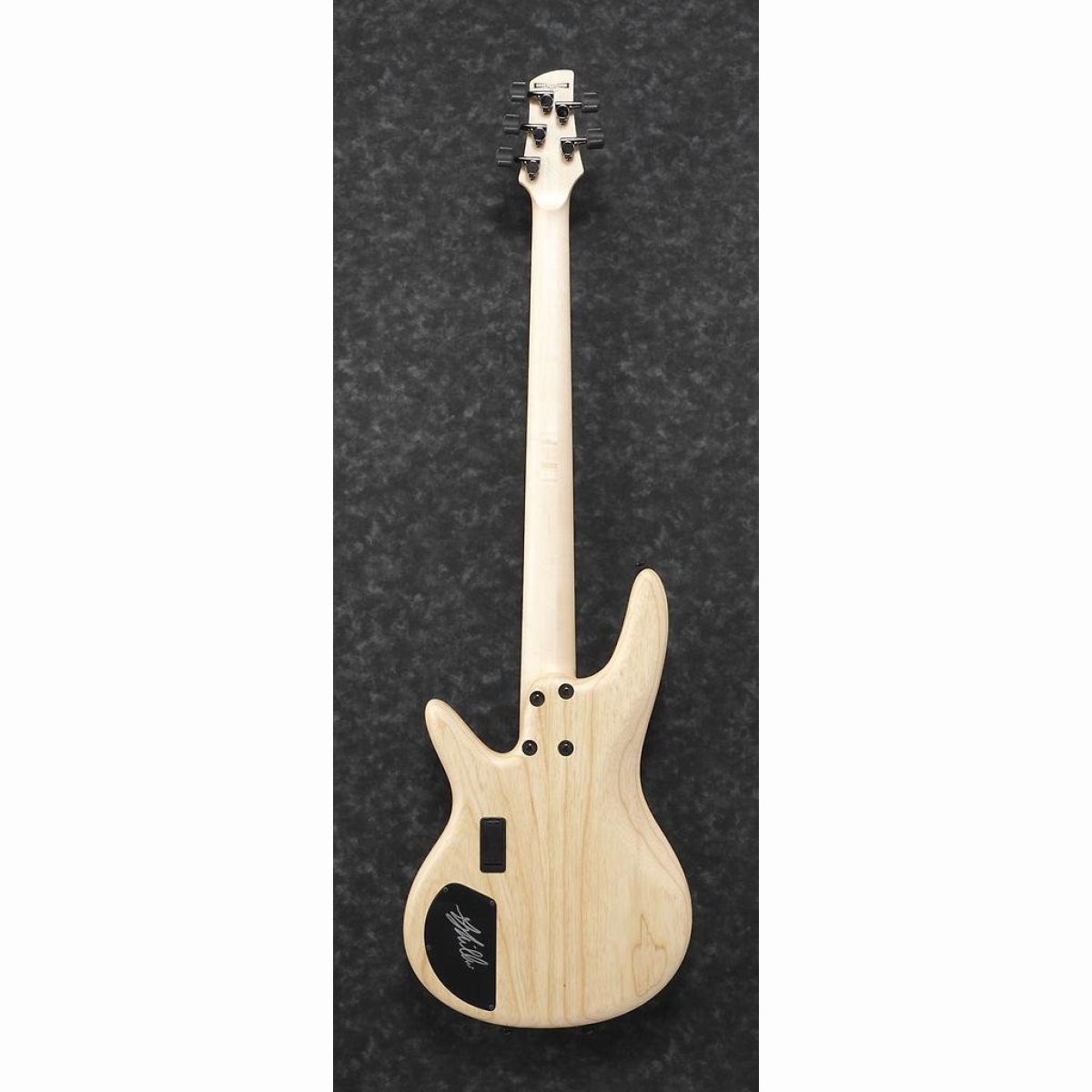 GWB1005-NTF Gary Willis Signature