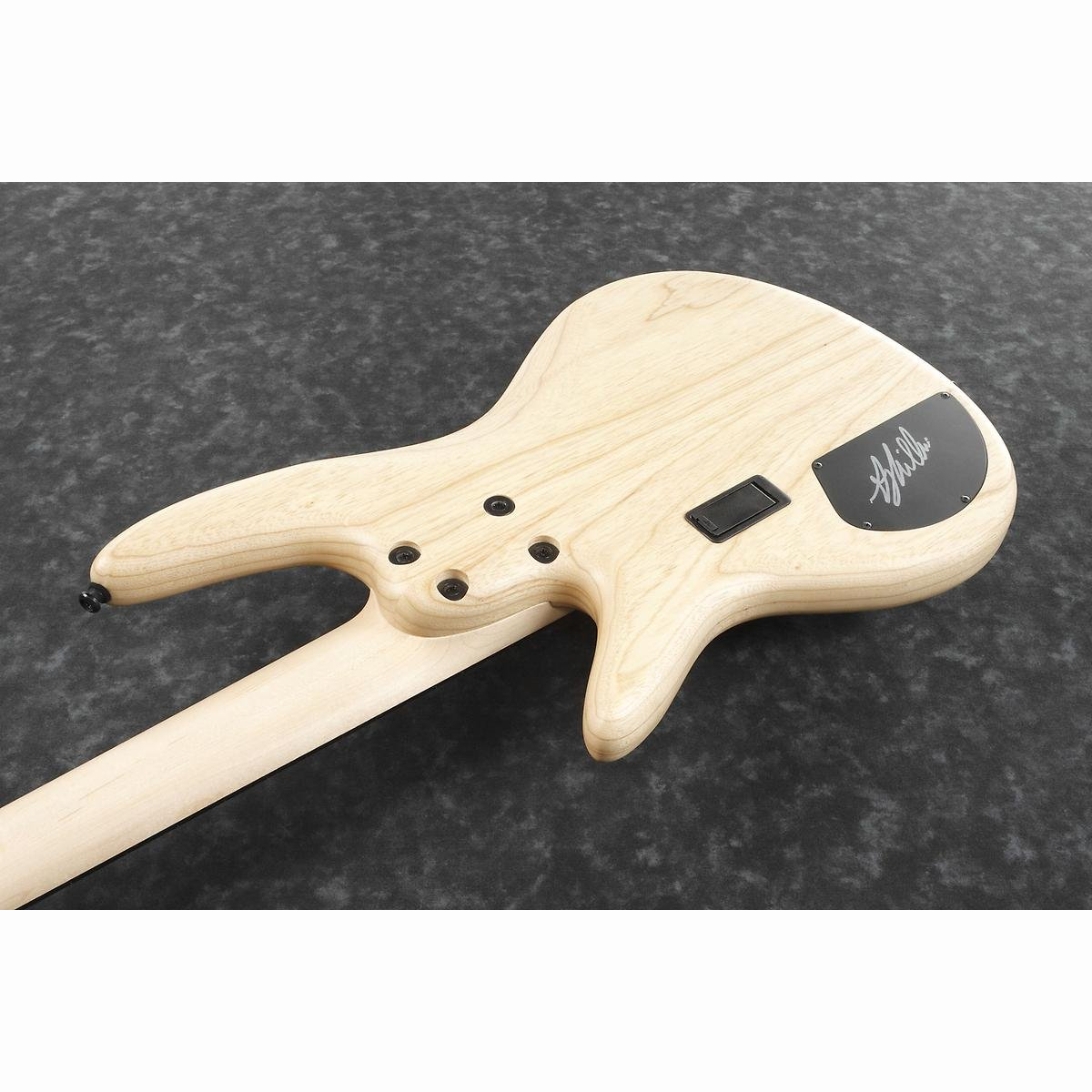 GWB1005-NTF Gary Willis Signature