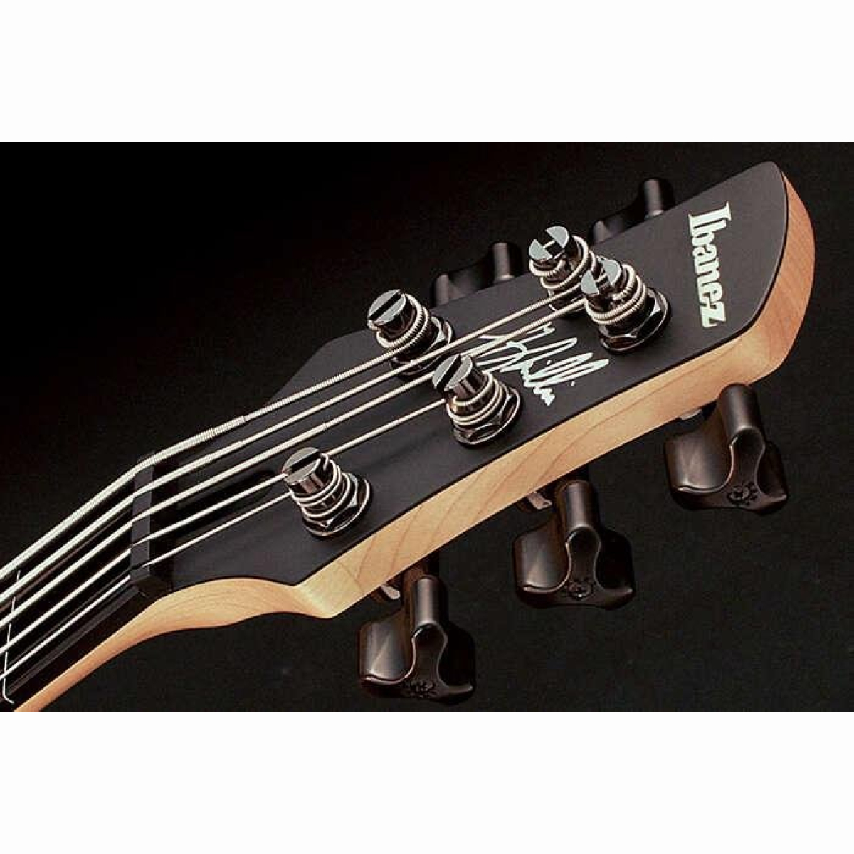 GWB35-BKF Gary Willis Signature GWB35-BKF Gary Willis Signature