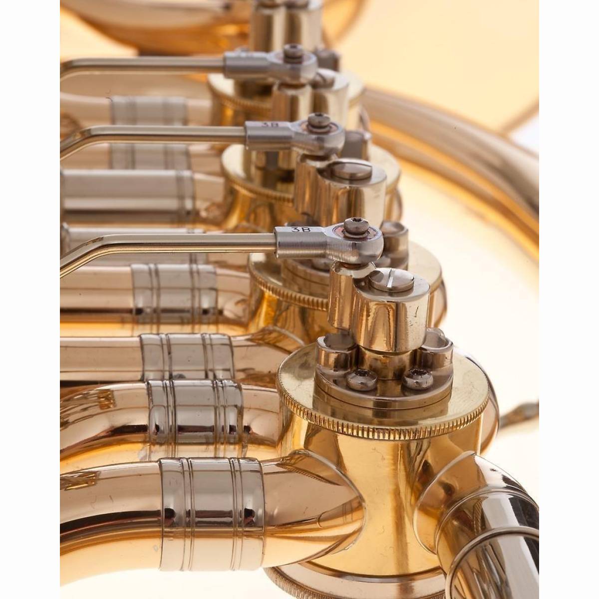 MAT24G-L Tenorhorn Lack mit Etui