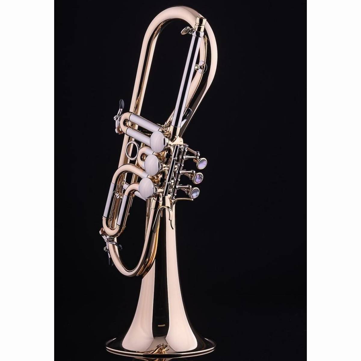 Flügelhorn Flügelhorn