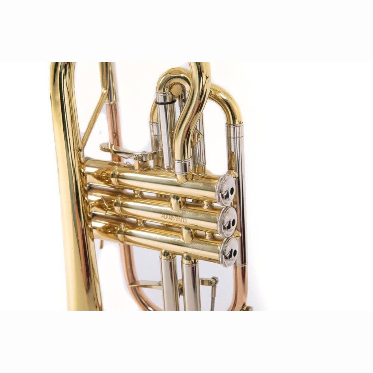 CR651D Kornett Lack mit Etui