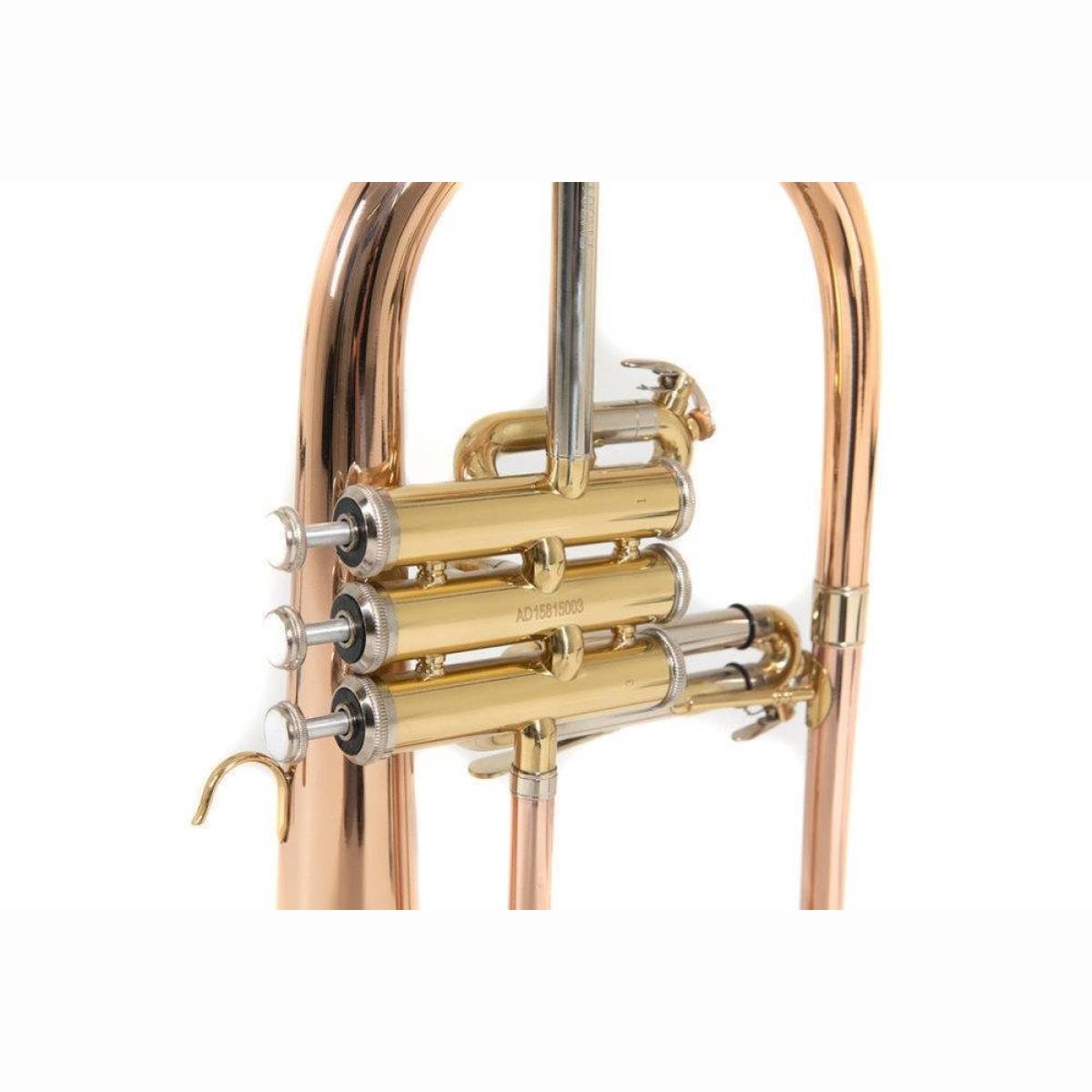 FH501D Flügelhorn Lack mit Etui FH501D Flügelhorn Lack mit Etui