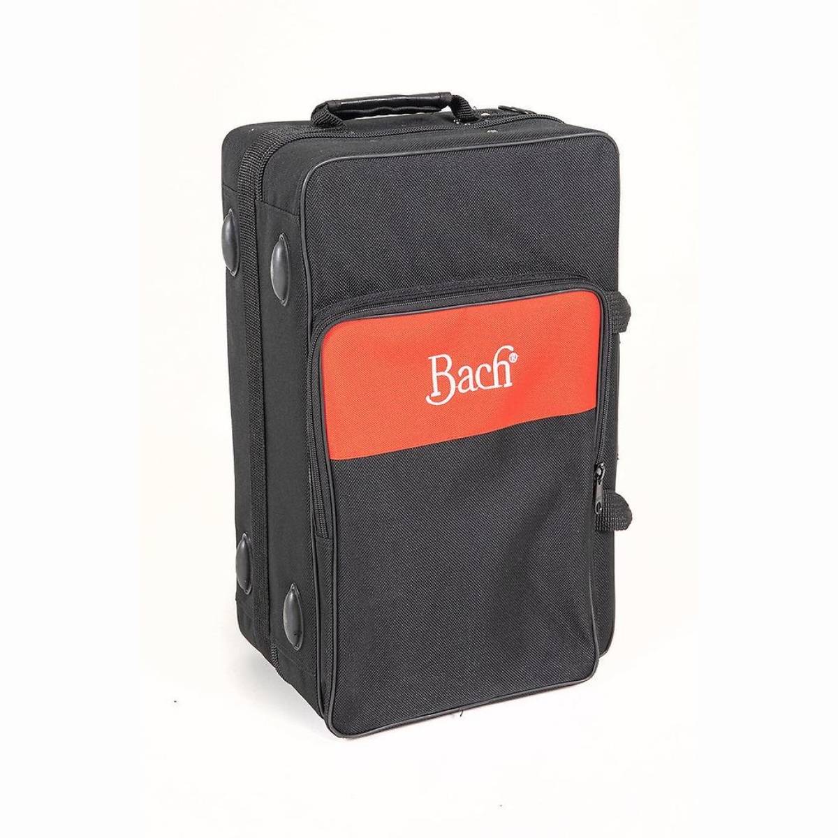 FH501D Flügelhorn Lack mit Etui FH501D Flügelhorn Lack mit Etui