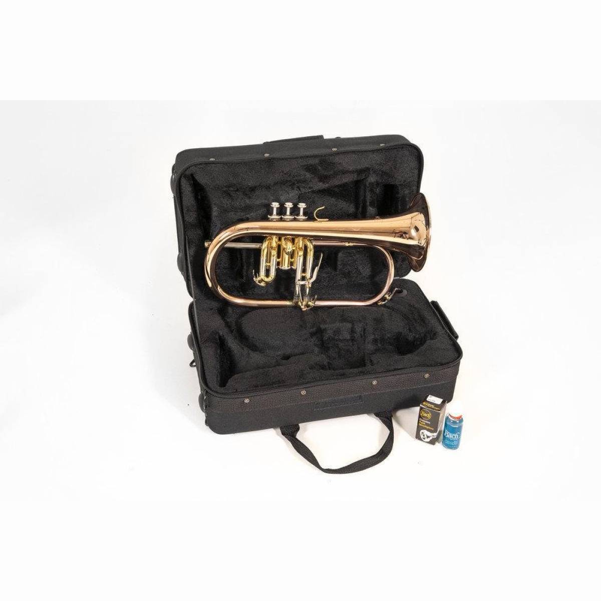 FH501D Flügelhorn Lack mit Etui FH501D Flügelhorn Lack mit Etui