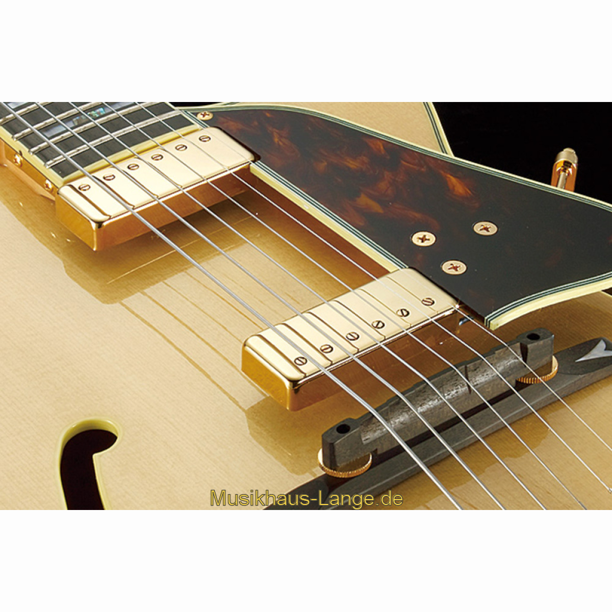 GB10SE-BS George Benson Brown Sunburst