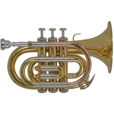 PT-650D Taschentrompete Lack mit Etui