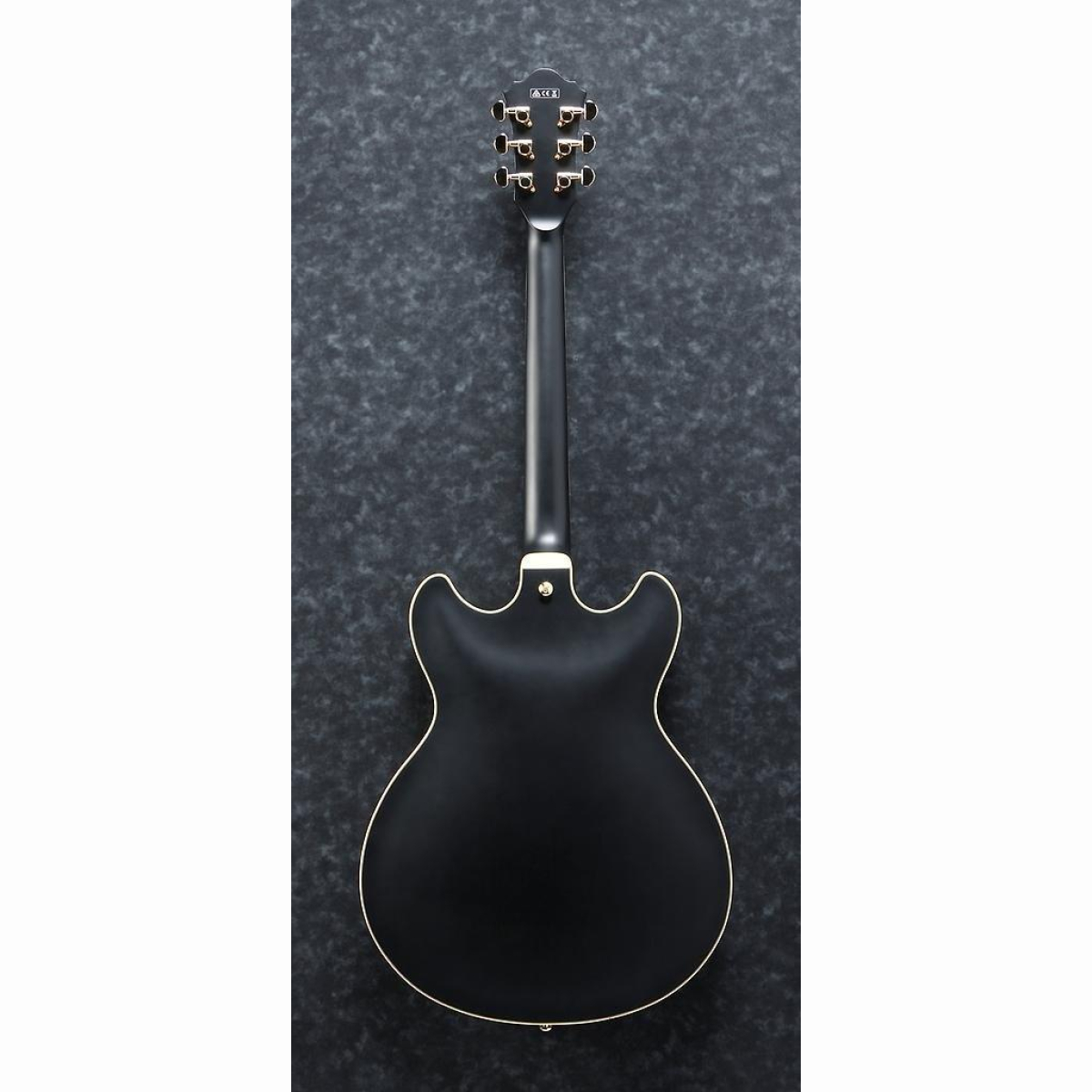 AS73G-BKF E-Gitarre Black Flat