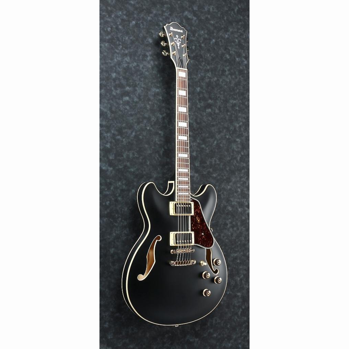 AS73G-BKF E-Gitarre Black Flat