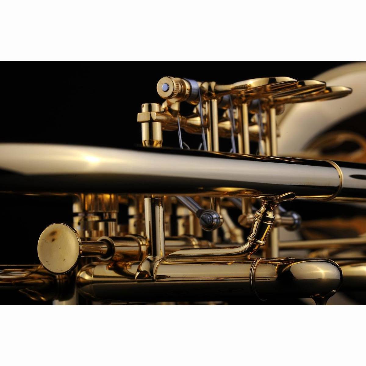 Trompete/Konzert Berlin 137 Heavy Trompete/Konzert Berlin 137 Heavy