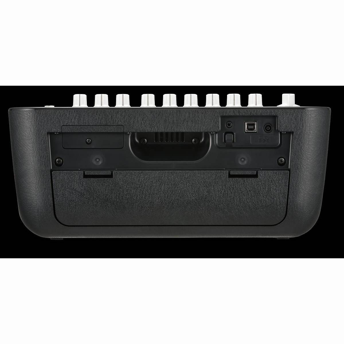 Adio Air Bass Modeling E-Bass Combo