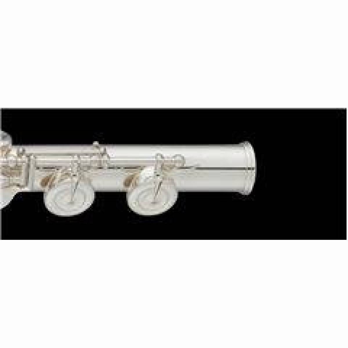 YFL-412 Querflöte W/Case