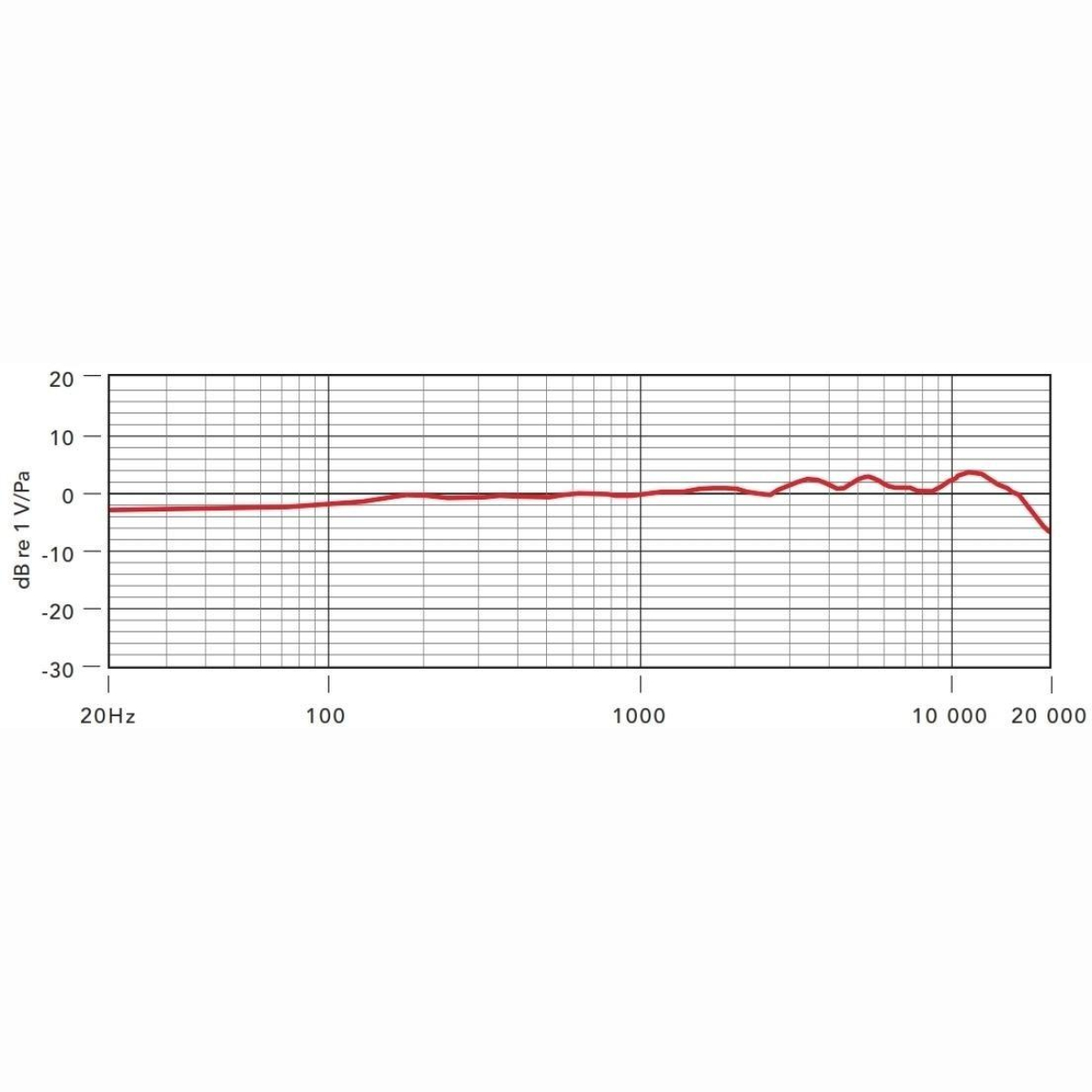 NT 1000 Großmembran Mikrofon
