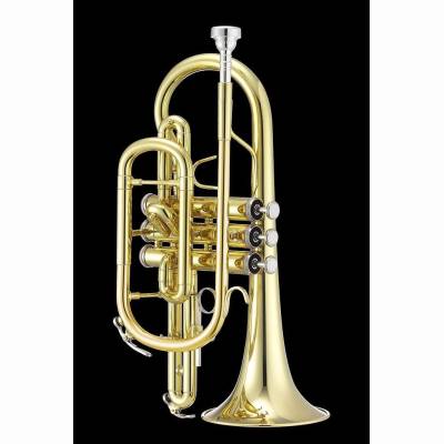 JCR700Q Kornett MS Lack mit Etui