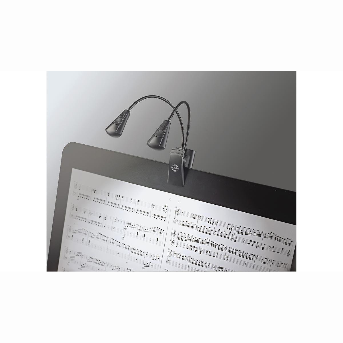 12243 Notenpultleuchte Double LED Flexi