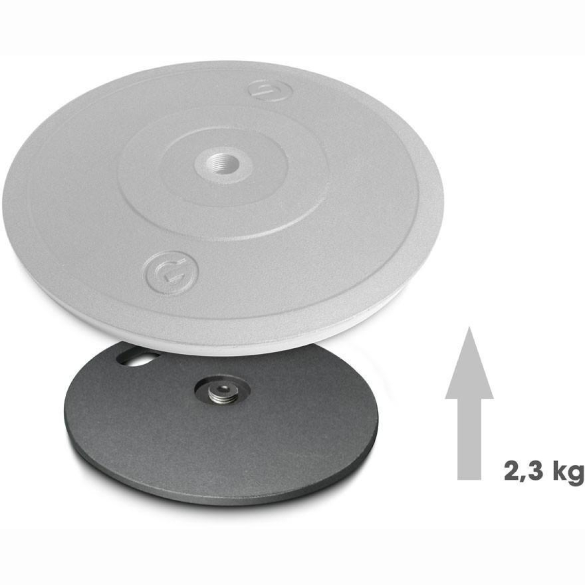 MS 2 WP Gewichtsscheibe