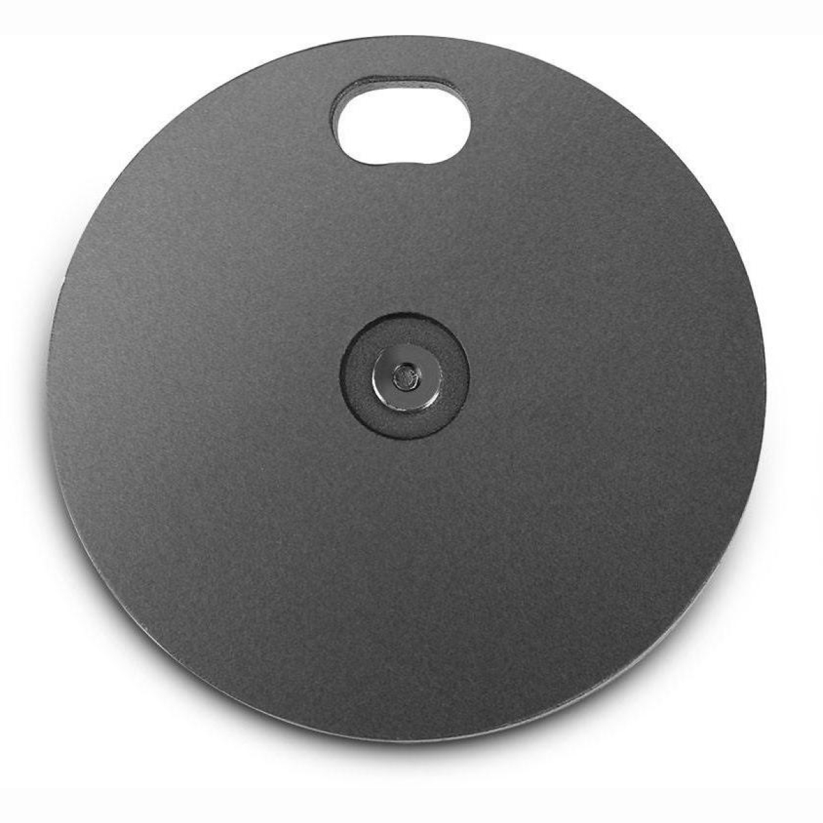 MS 2 WP Gewichtsscheibe