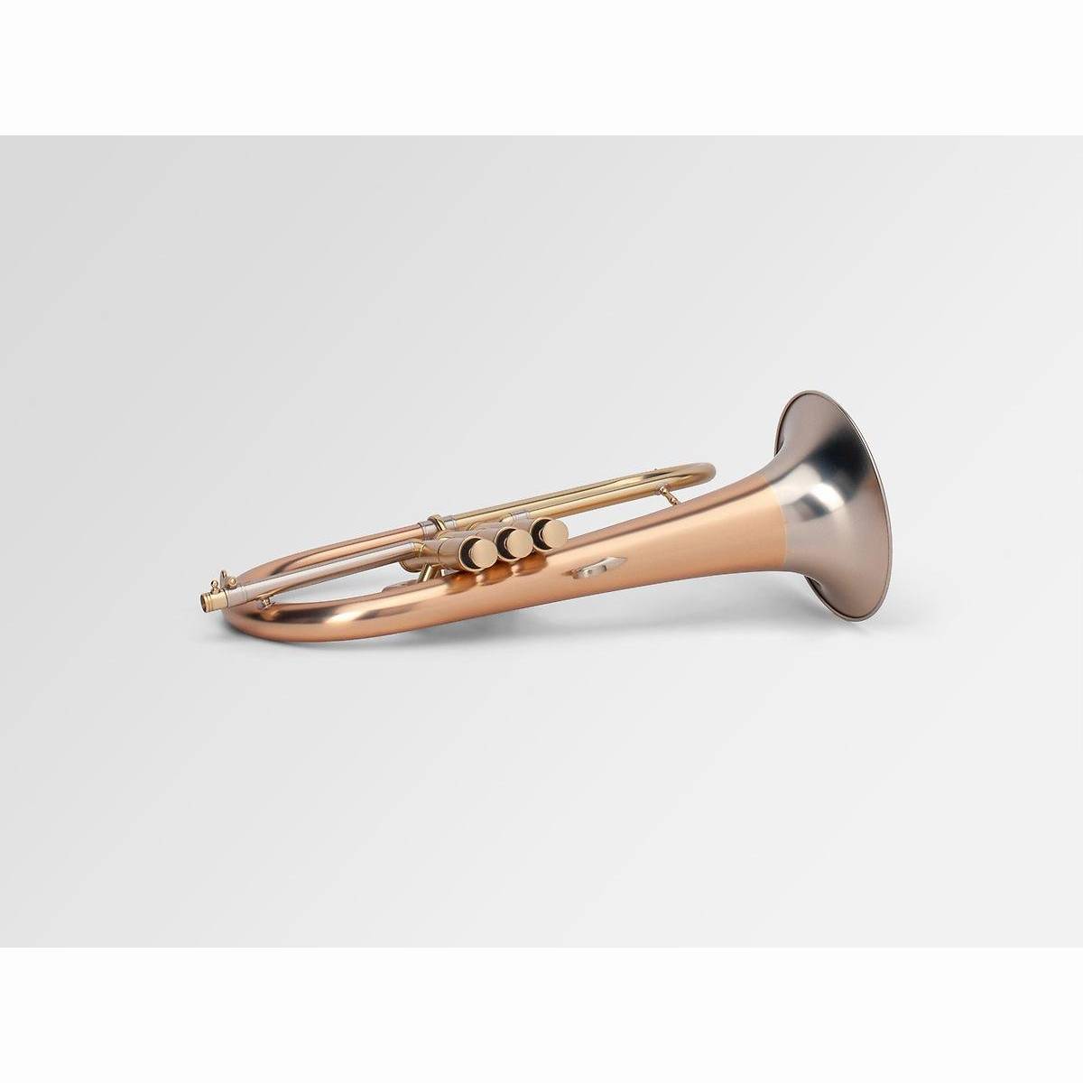 Flügelhorn F1 Custom 045 160 Matt Gigba