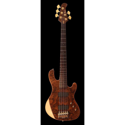 Rithimic 5 Jeff Berlin Natur