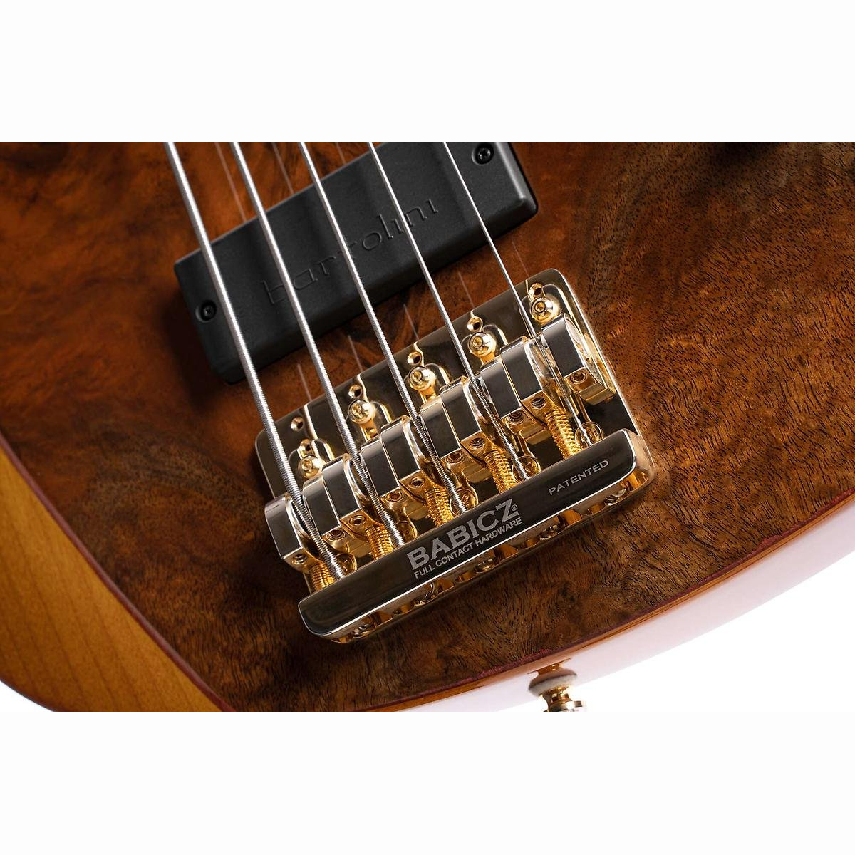 Rithimic 5 Jeff Berlin Natur