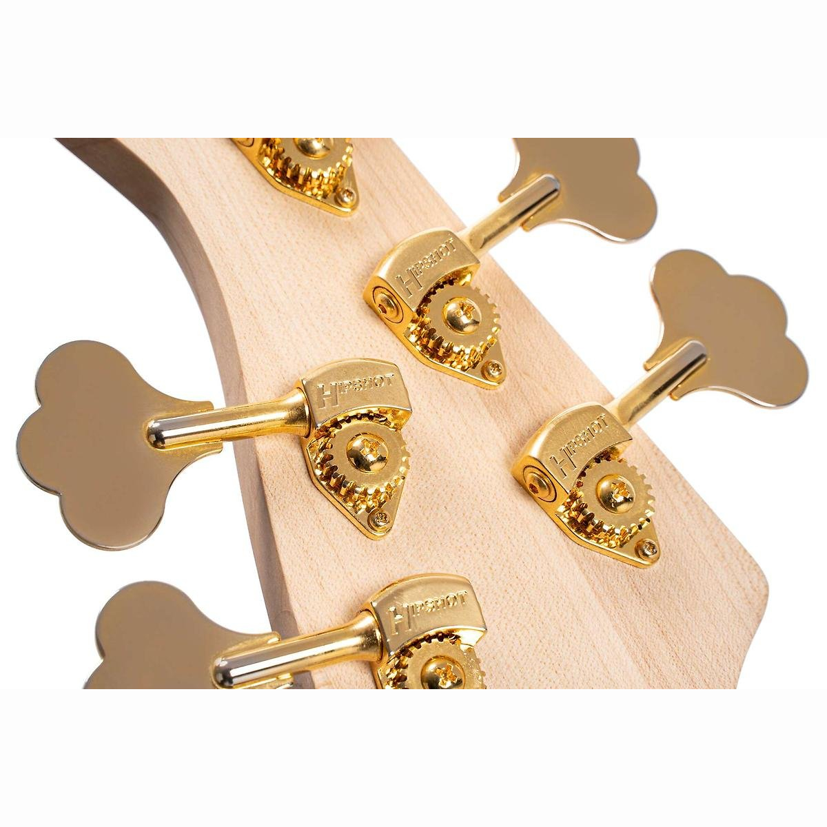 Rithimic 5 Jeff Berlin Natur