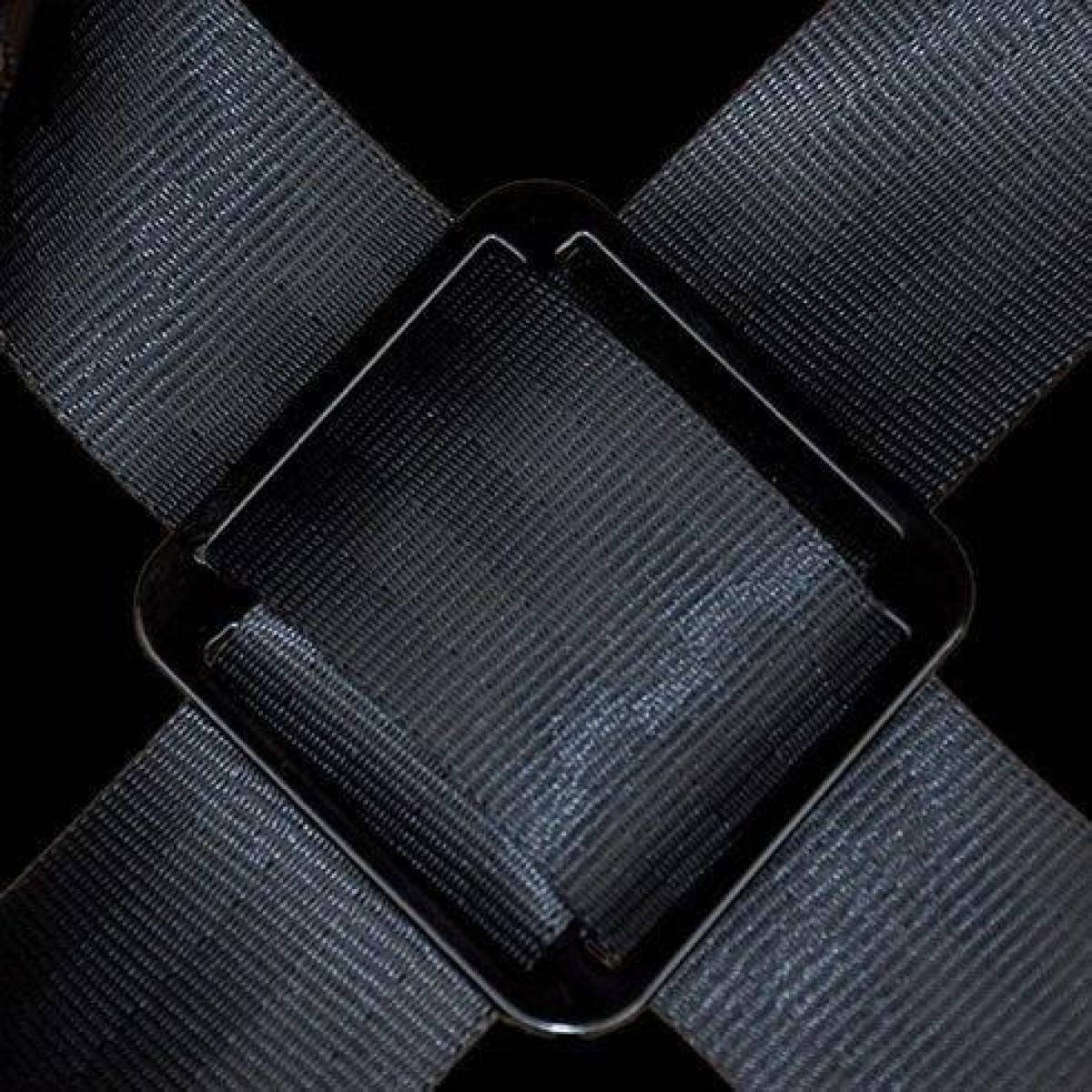 Bassbelt Pro, ergonomischer Tubagurt