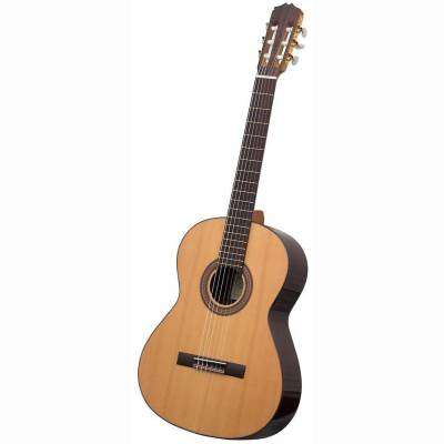 1/65PZ Konzertgitarre Zeder/Palisande