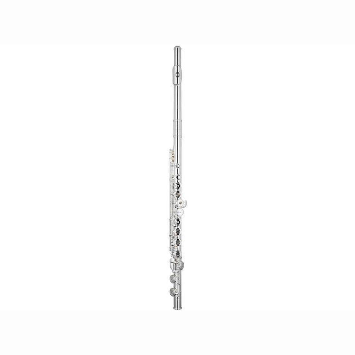 TFL-10S-SI QFL Vollsilber Kopf u. Korp TFL-10S-SI QFL Vollsilber Kopf u. Korp