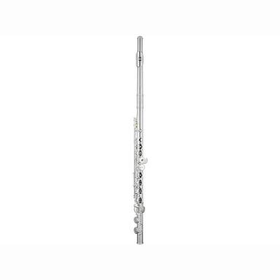 TFL-10S-SI QFL Vollsilber Kopf u. Korp