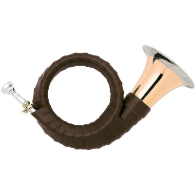 18828 fürst-Pless *Premium